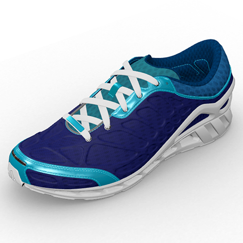 shoe